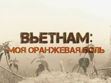 Вьетнам: моя оранжевая боль