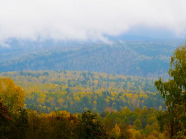 Река Белая Река Белая