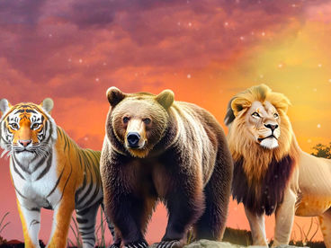 Природные коридоры