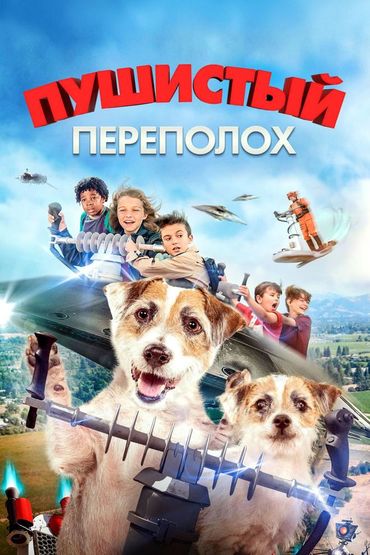 Пушистый переполох