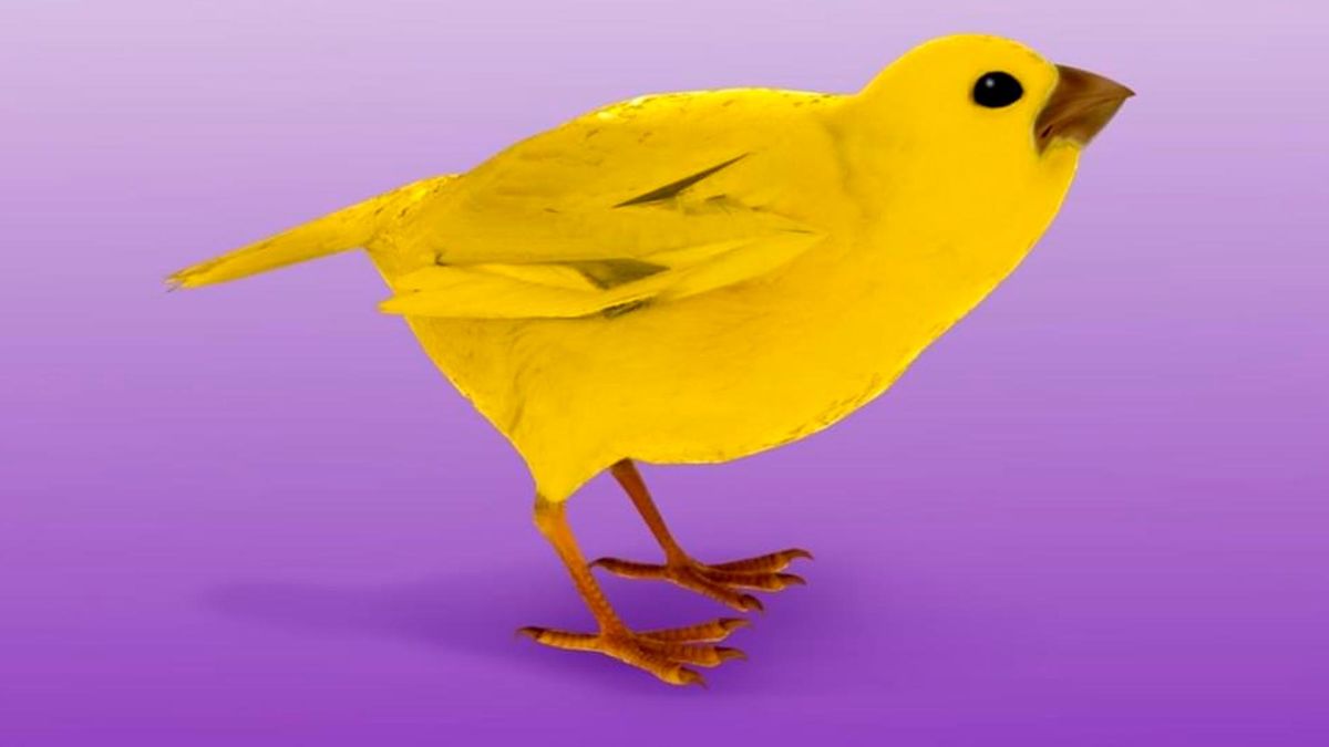 Монеточка - Шаганэ