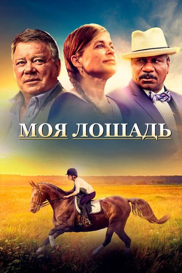Моя лошадь