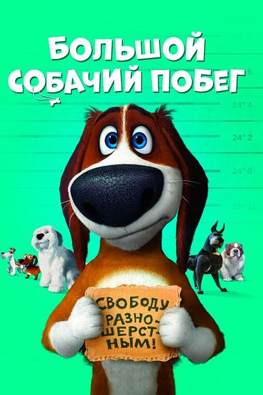 Большой собачий побег