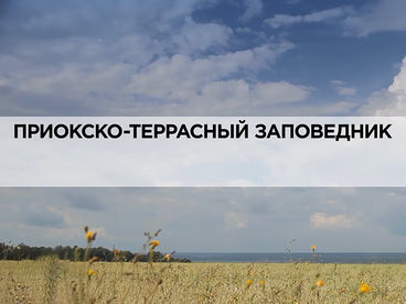 Приокско-террасный заповедник Приокско-террасный заповедник