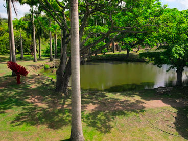 Сады Мартиники Сады Мартиники