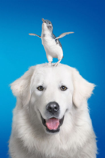 По кличке По кличке