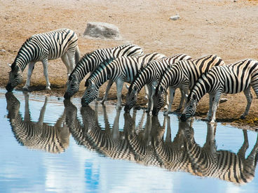 Количество имеет значение