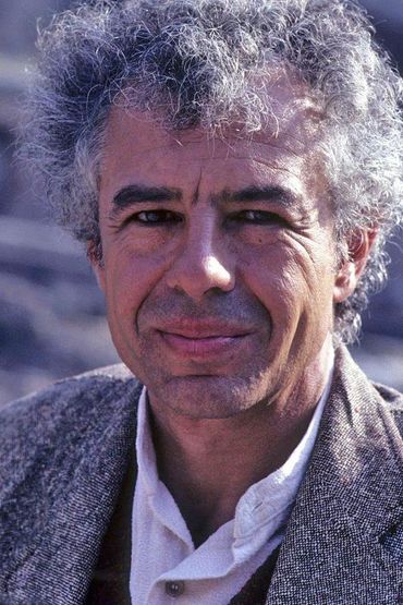 Франческо Карнелутти