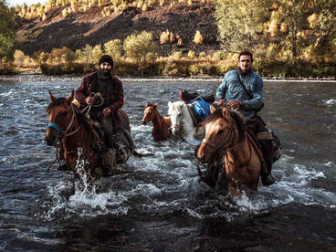 Камчатка. Верхом по дикому краю