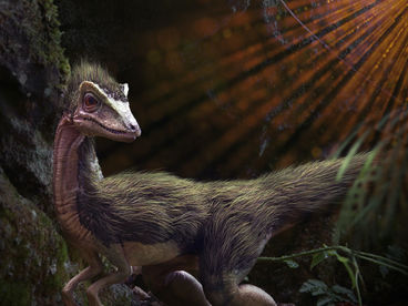 История жизни на Земле