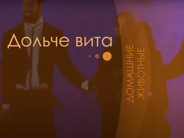 Дольче Вита