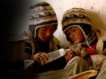 Гималаи Гималаи