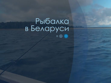 Рыбалка в Беларуси