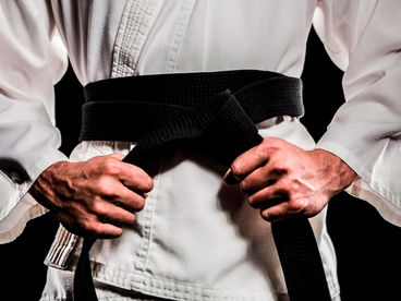 Тхэквондо. RCC Taekwon-do PRO 3