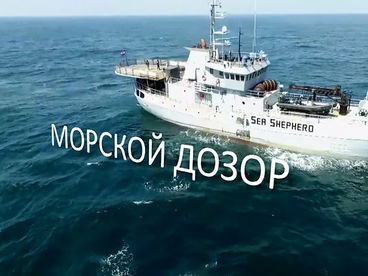 Морской дозор Морской дозор