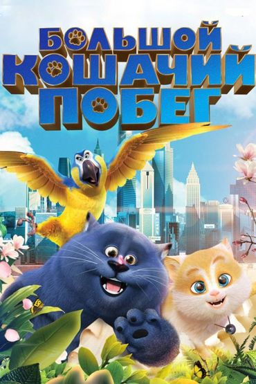 Большой кошачий побег