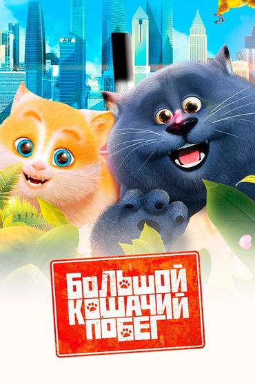 Большой кошачий побег
