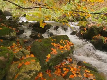 Река Песио Река Песио