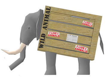 Особая доставка Особая доставка