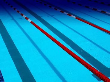 Чемпионат мира по водным видам спорта. 2025 Чемпионат мира по водным видам спорта. 2025