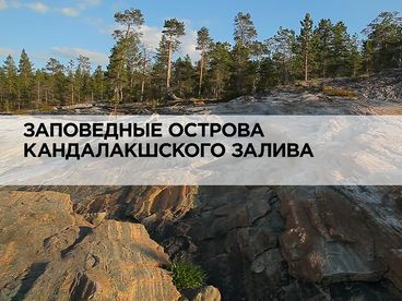 Заповедные острова Кандалакшского залива