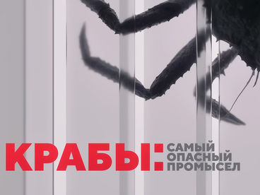 Крабы: самый опасный промысел