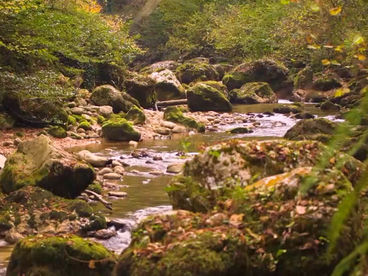 Каньон реки Цица Каньон реки Цица