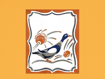 Серая утушка