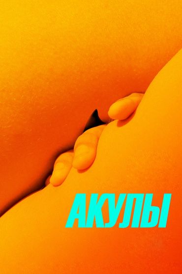 Акулы
