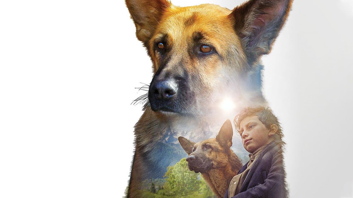 Моя собака - герой