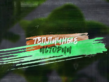 Тепличные истории