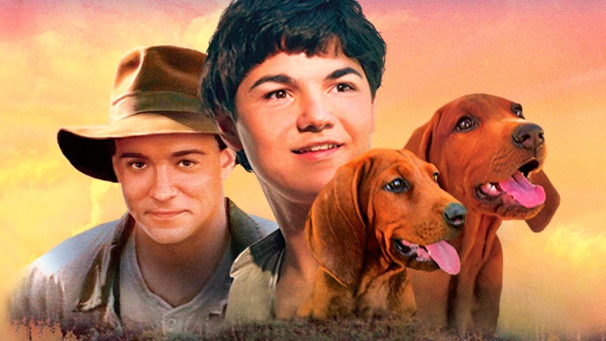 Цветок красного папоротника