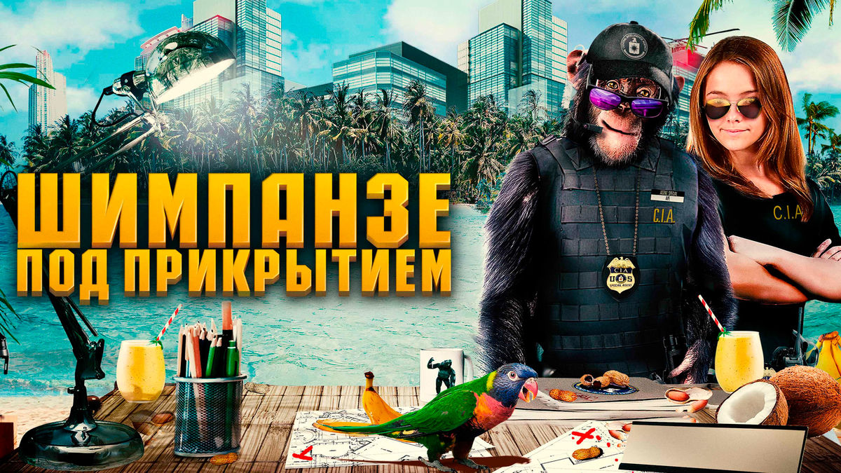 Шимпанзе под прикрытием