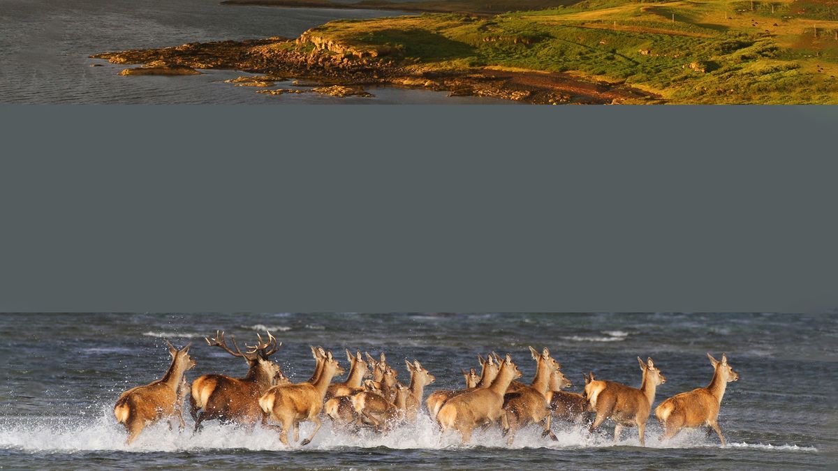 Шотландия. В поисках первозданного