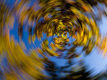 Круговорот жизни Круговорот жизни