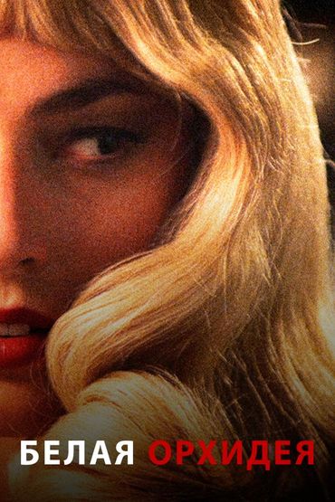 Белая орхидея