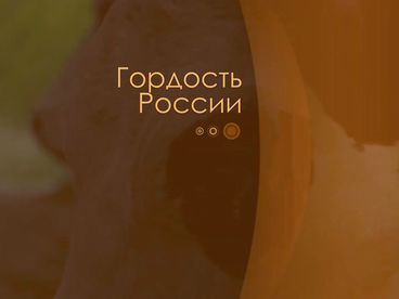 Гордость России