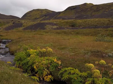 Долина Эмструар Долина Эмструар