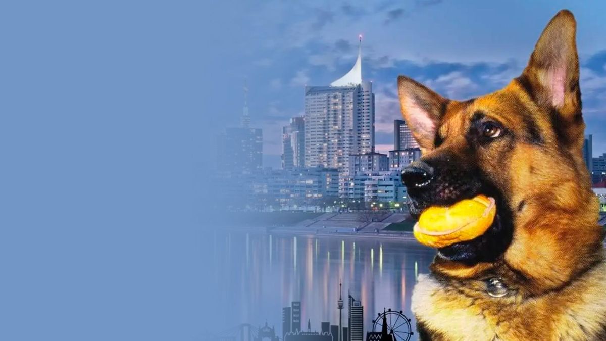 Комиссар Рекс