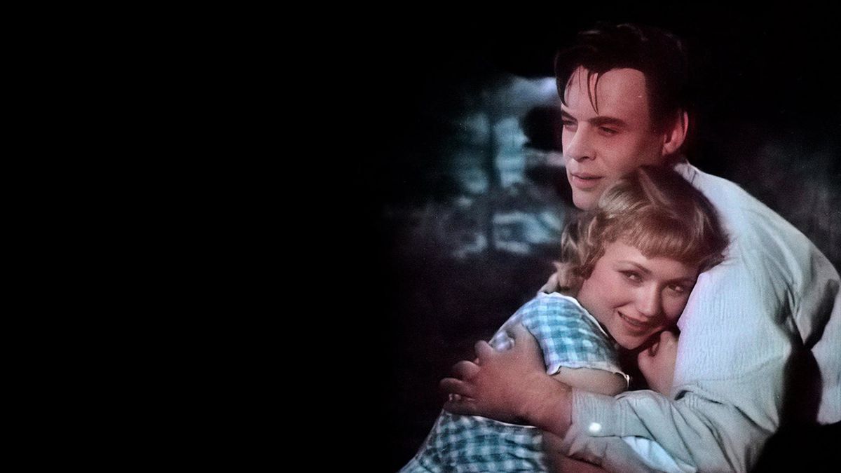 Медовый месяц