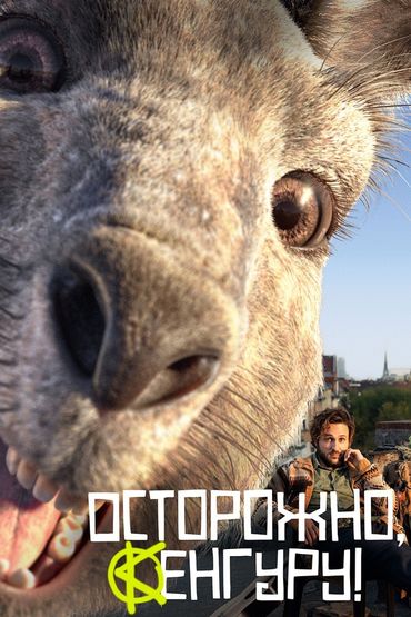 Осторожно, Кенгуру!