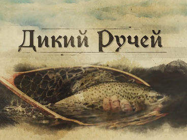 Дикий ручей