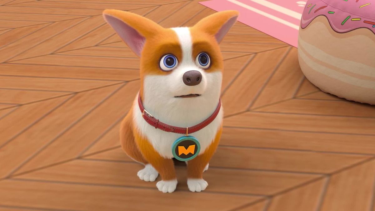 Моко умеет считать