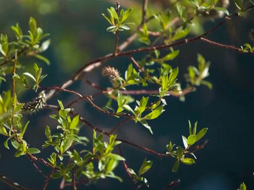 Водопад на реке Каракол Водопад на реке Каракол