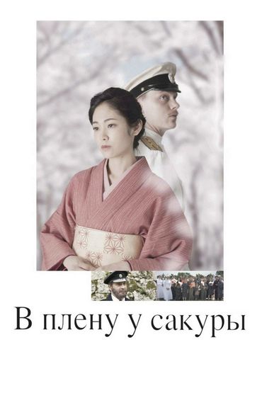 В плену у сакуры