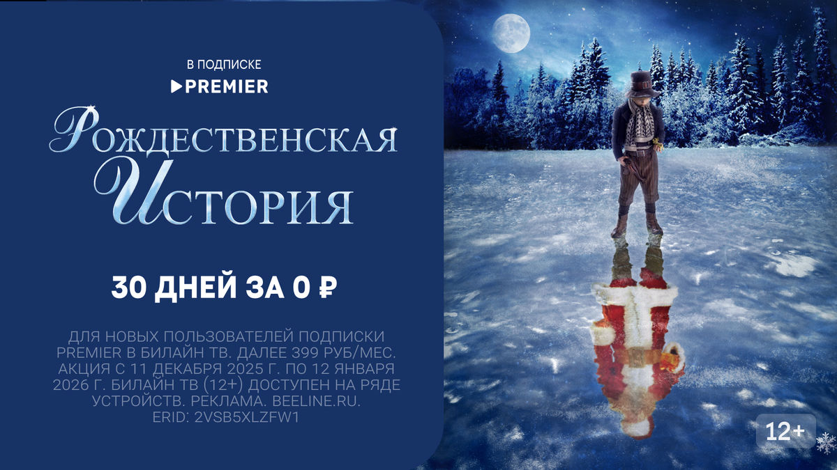 Рождественская история (2007)