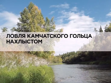 Ловля камчатского гольца нахлыстом