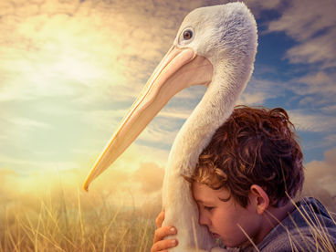 Мой друг мистер Персиваль