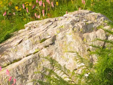 Золотая Долина Золотая Долина