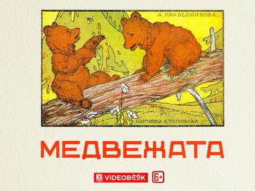 Медвежата